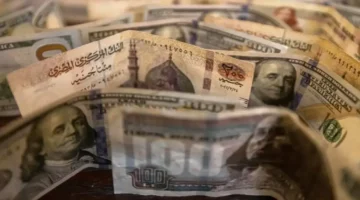 تحركات مفاجئة.. سعر الدولار أمام الجنيه المصري في تعاملات الأربعاء 11 فبراير 2026